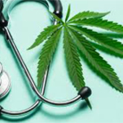 City Plans Medical Marijuana Information Meetings