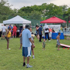 Meet Up At The Park